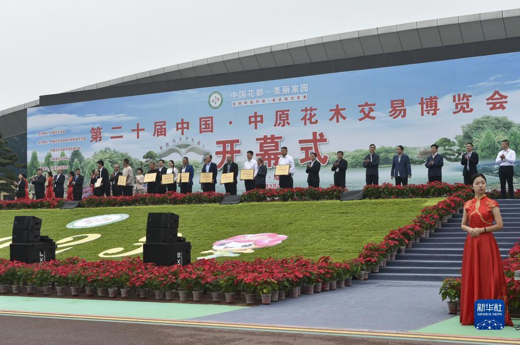 美高美网站多少